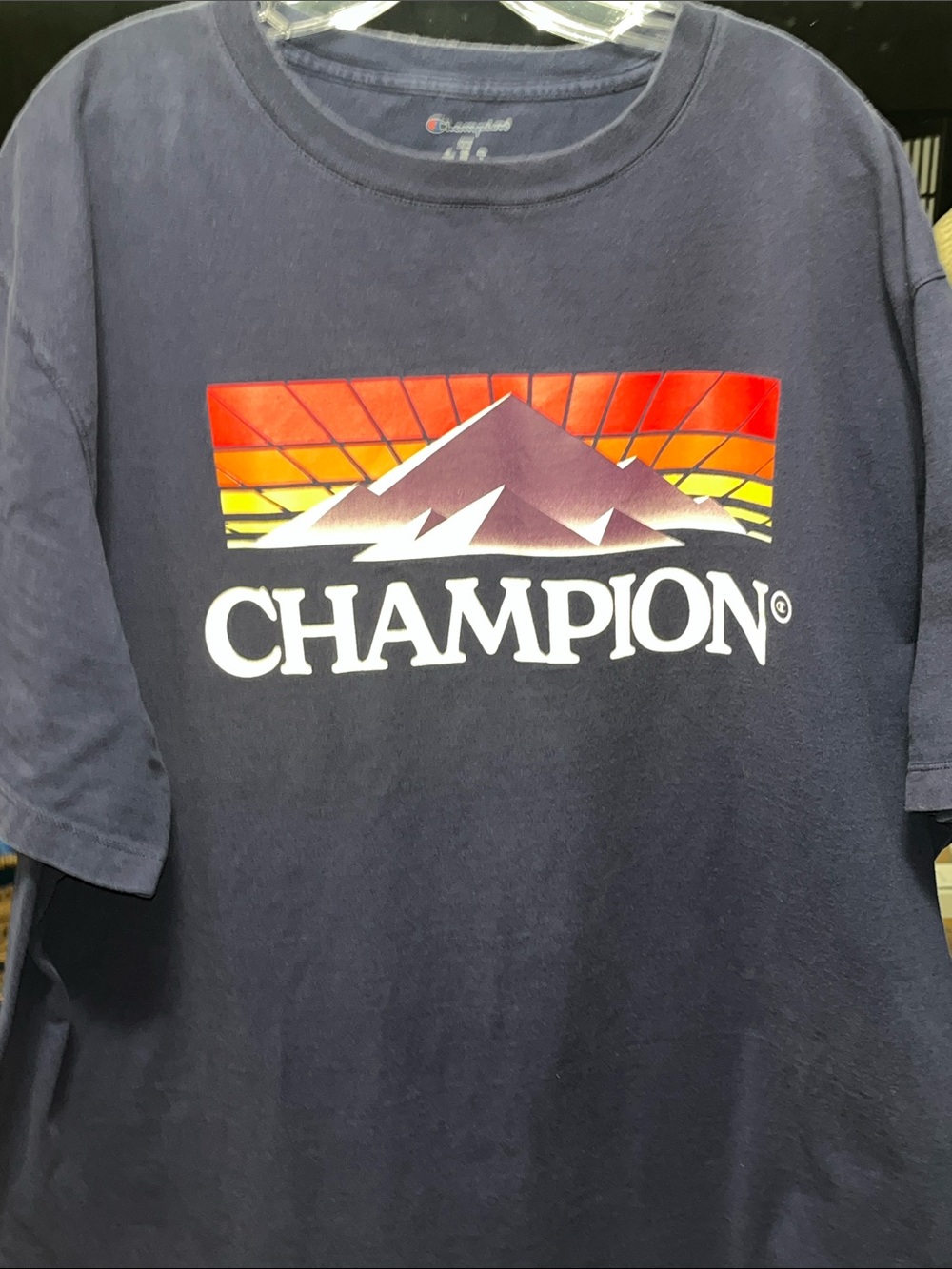 Champion Navy  blue T-Shirt with Sunset Mountain Graphic
